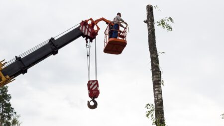 Chainsaw Man Yeni Bölümleri İzle: Tehlike ve Aksiyon Dolu Hikâye