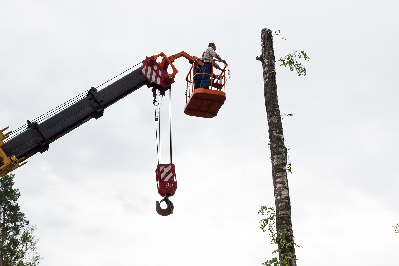 Chainsaw Man Yeni Bölümleri İzle: Tehlike ve Aksiyon Dolu Hikâye